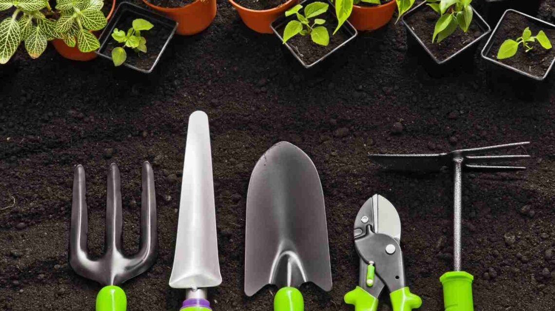 Maintaining Your Garden with Keizers: Essential Tools and Tips