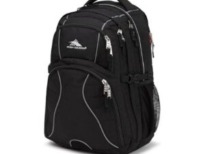 High Sierra Swerve Laptop Backpack