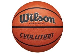 Wilson Evolution Game Basketball