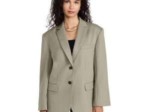 anine bing quinn blazer