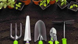 Maintaining Your Garden with Keizers: Essential Tools and Tips